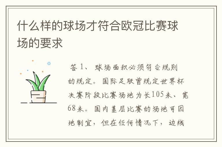 什么样的球场才符合欧冠比赛球场的要求