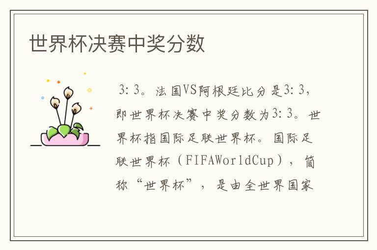 世界杯决赛中奖分数