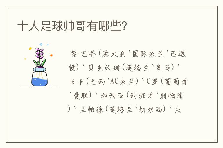 十大足球帅哥有哪些?