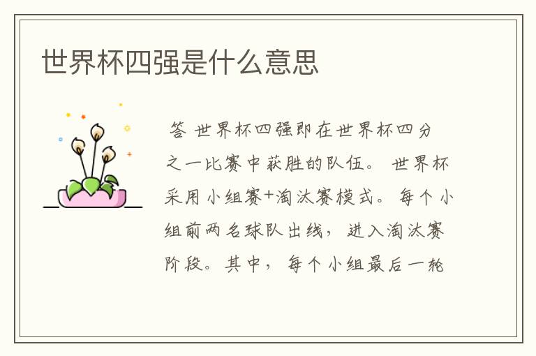 世界杯四强是什么意思