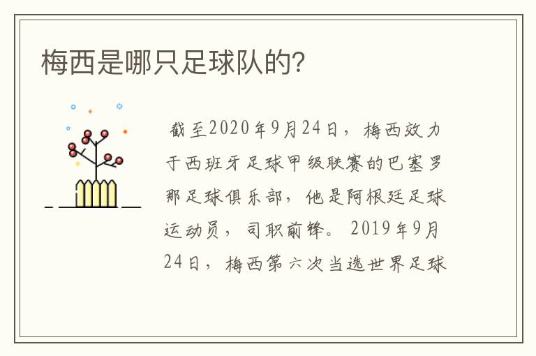 梅西是哪只足球队的?