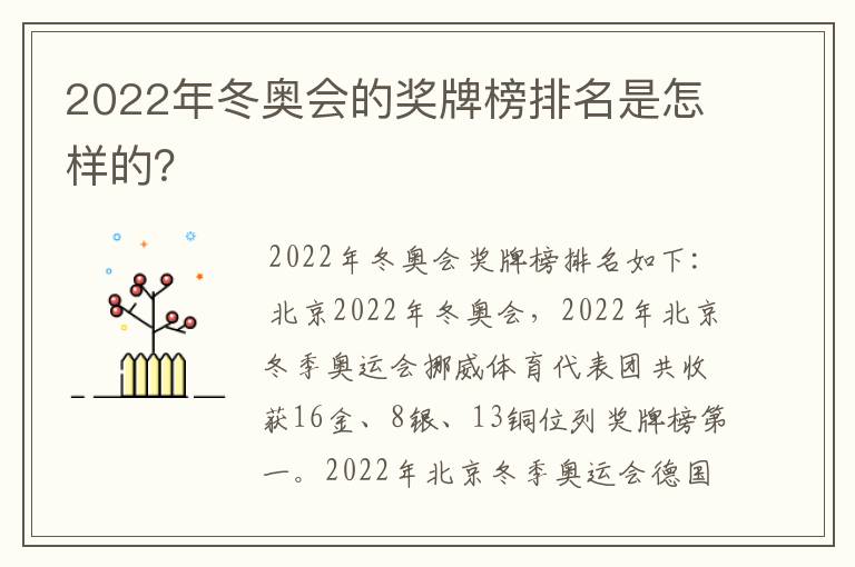2022年冬奥会的奖牌榜排名是怎样的?