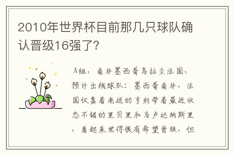 2010年世界杯目前那几只球队确认晋级16强了?