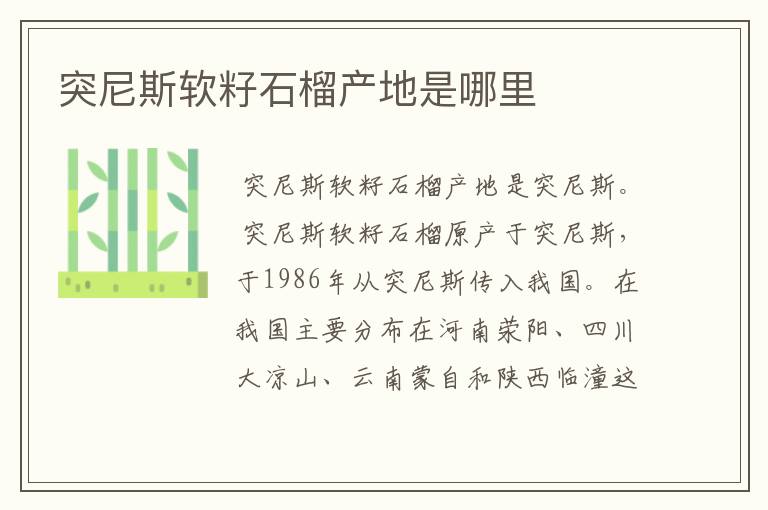 突尼斯软籽石榴产地是哪里