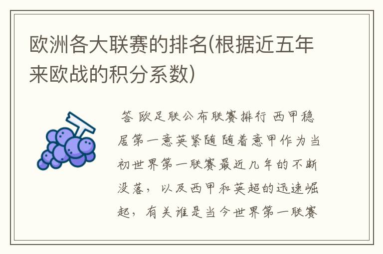 欧洲各大联赛的排名(根据近五年来欧战的积分系数)