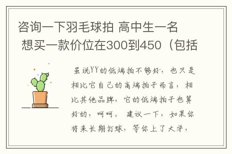 咨询一下羽毛球拍 高中生一名 想买一款价位在300到450(包括拍线和手胶.
