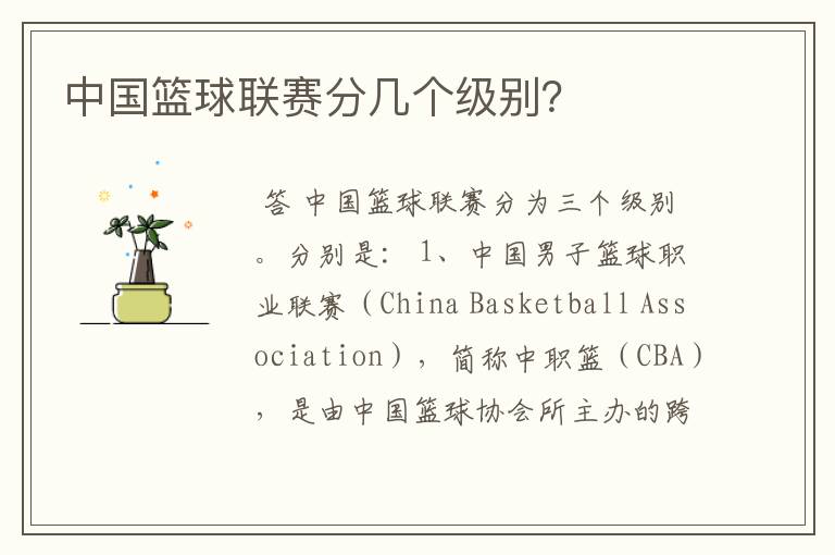 中国篮球联赛分几个级别?
