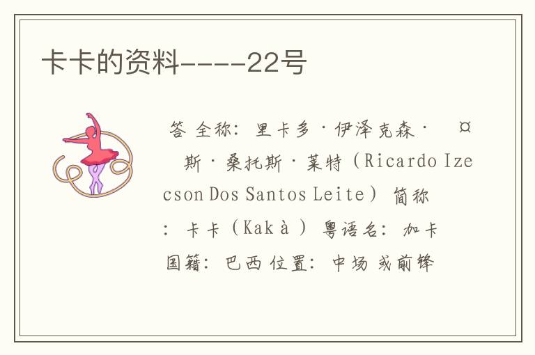 卡卡的资料----22号
