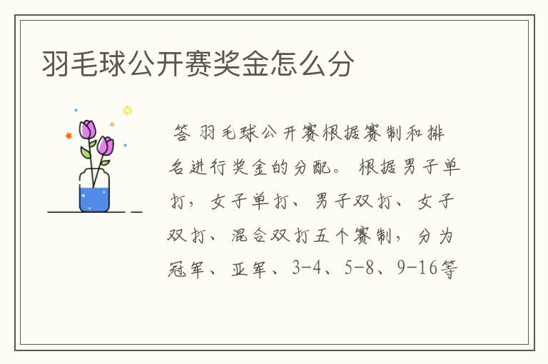 羽毛球公开赛奖金怎么分