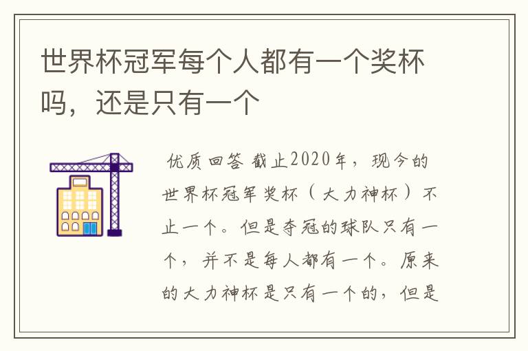 世界杯冠军每个人都有一个奖杯吗,还是只有一个