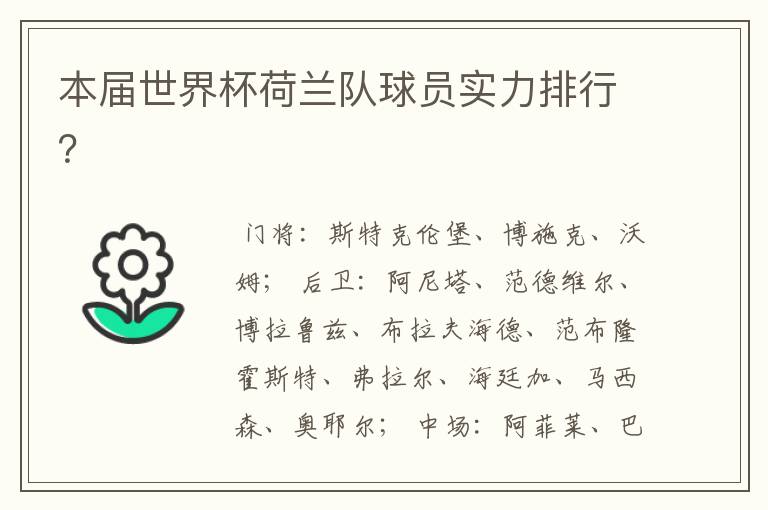 本届世界杯荷兰队球员实力排行?