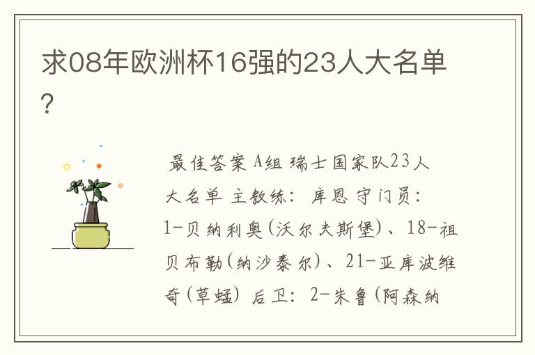 求08年欧洲杯16强的23人大名单？