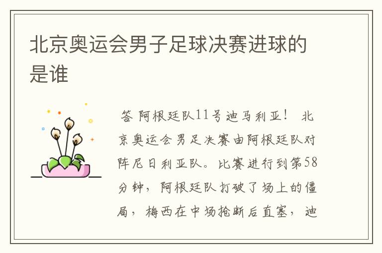 北京奥运会男子足球决赛进球的是谁