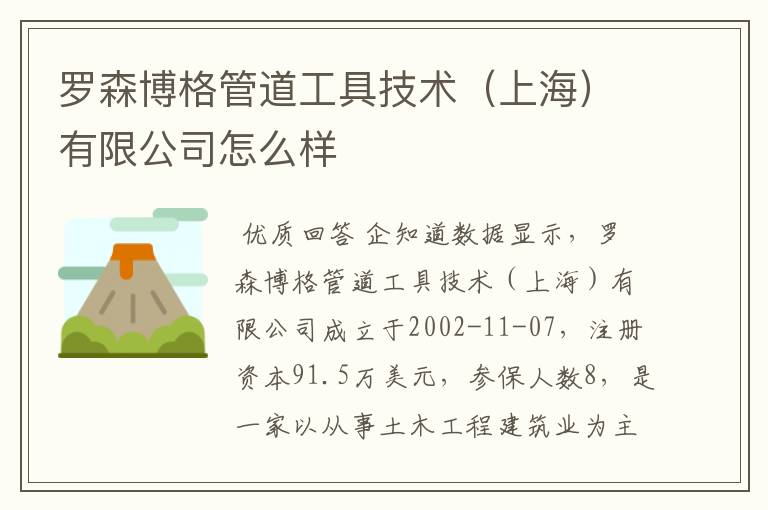 罗森博格管道工具技术(上海)有限公司怎么样