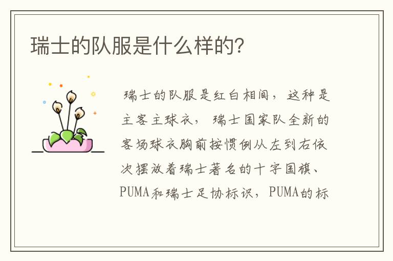 瑞士的队服是什么样的?