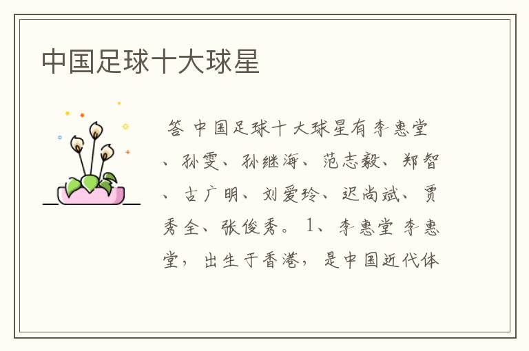 中国足球十大球星