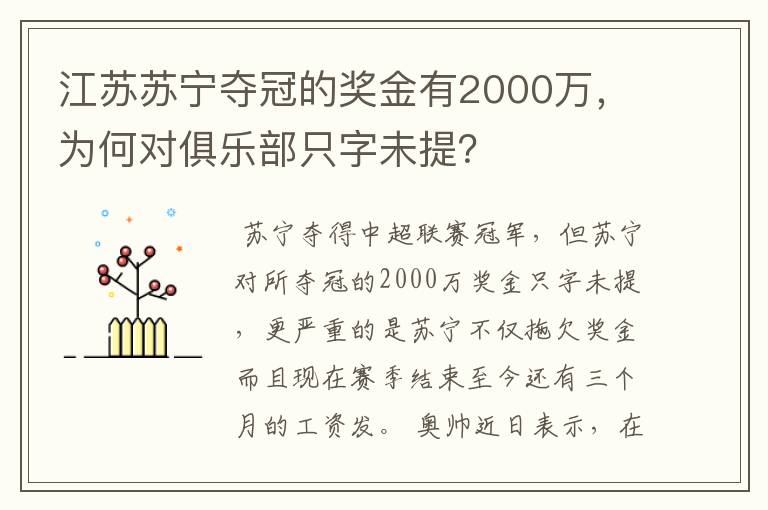 江苏苏宁夺冠的奖金有2000万,为何对俱乐部只字未提?
