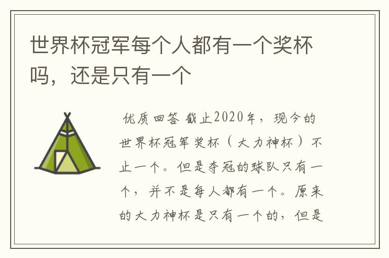 世界杯冠军每个人都有一个奖杯吗,还是只有一个