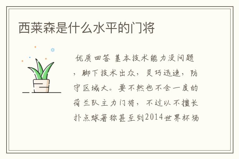西莱森是什么水平的门将