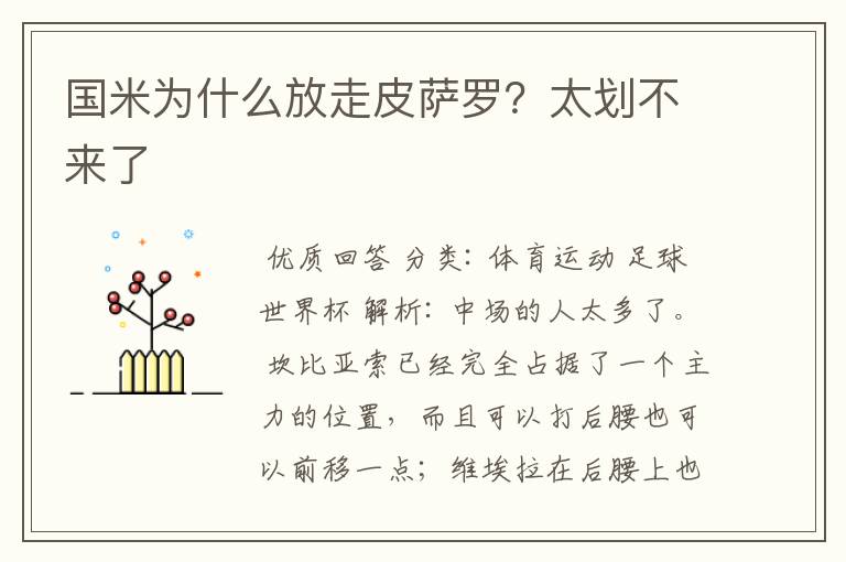 国米为什么放走皮萨罗?太划不来了