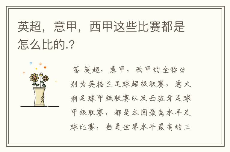 英超,意甲,西甲这些比赛都是怎么比的.?
