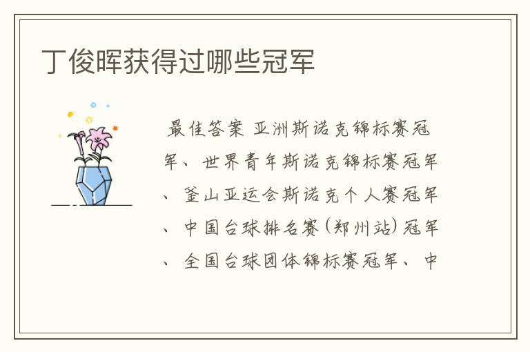 丁俊晖获得过哪些冠军