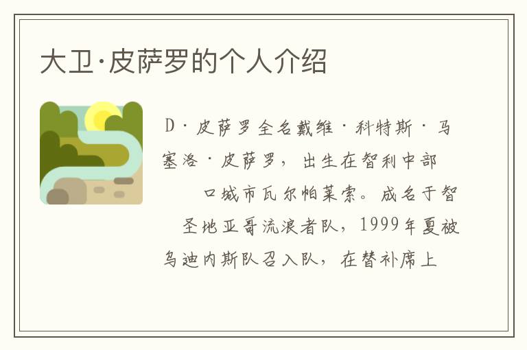 大卫·皮萨罗的个人介绍
