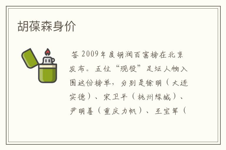 胡葆森身价