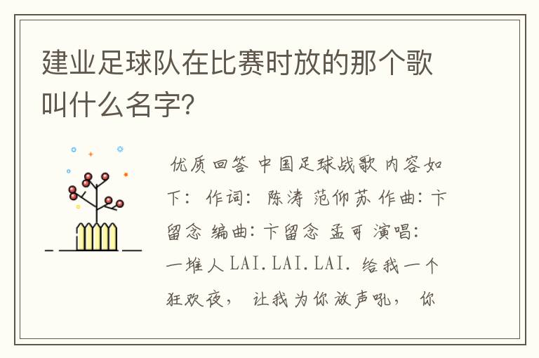 建业足球队在比赛时放的那个歌叫什么名字?