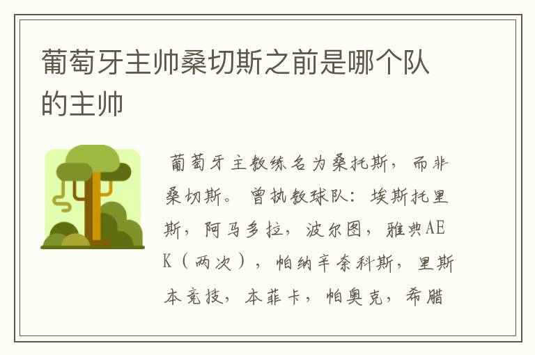 葡萄牙主帅桑切斯之前是哪个队的主帅