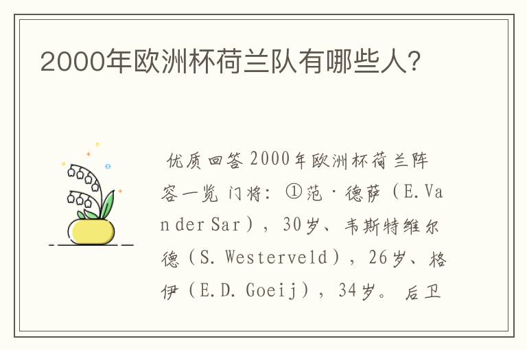 2000年欧洲杯荷兰队有哪些人?