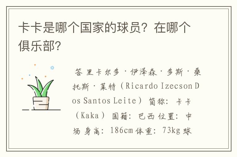 卡卡是哪个国家的球员?在哪个俱乐部?