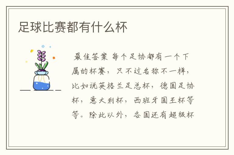 足球比赛都有什么杯