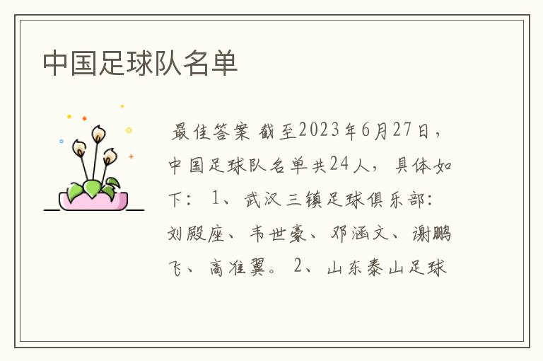 中国足球队名单