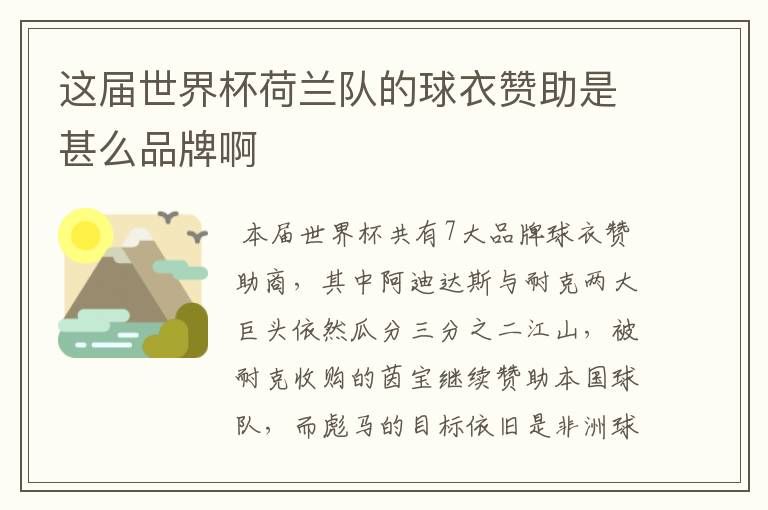 这届世界杯荷兰队的球衣赞助是甚么品牌啊