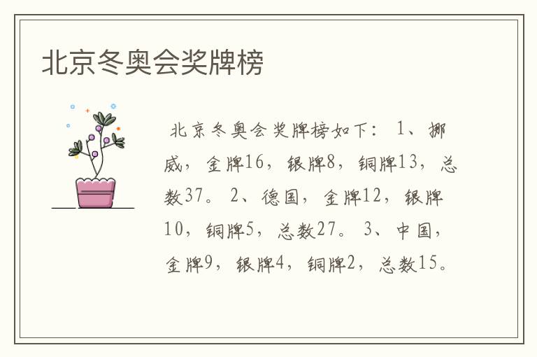 北京冬奥会奖牌榜