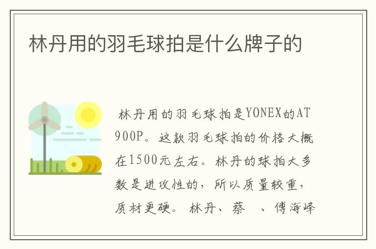 林丹用的羽毛球拍是什么牌子的