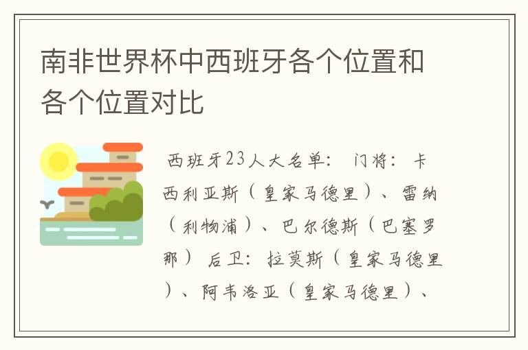 南非世界杯中西班牙各个位置和各个位置对比