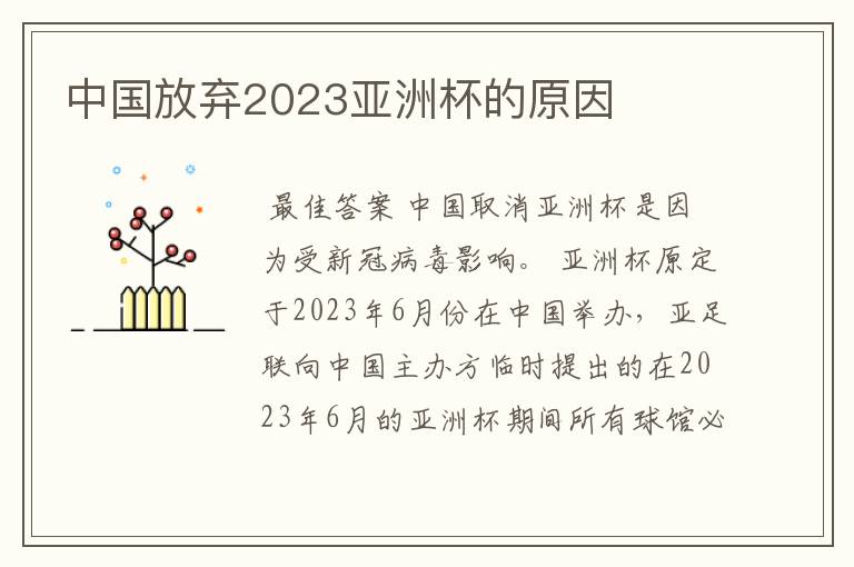 中国放弃2023亚洲杯的原因