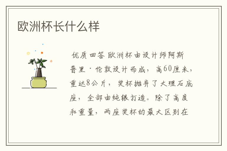 欧洲杯长什么样