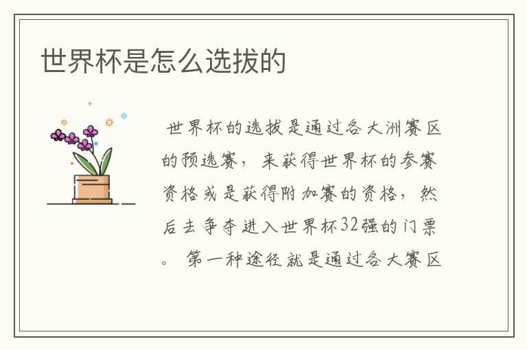 世界杯是怎么选拔的