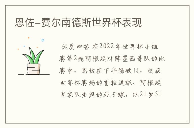 恩佐-费尔南德斯世界杯表现