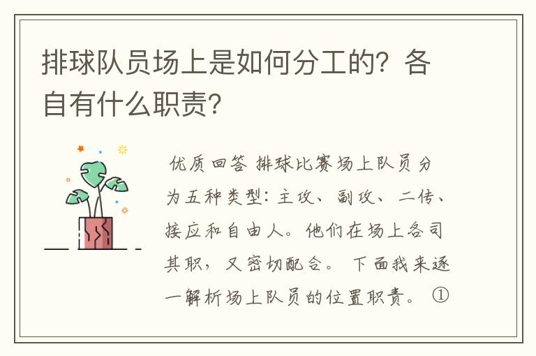 排球队员场上是如何分工的?各自有什么职责?