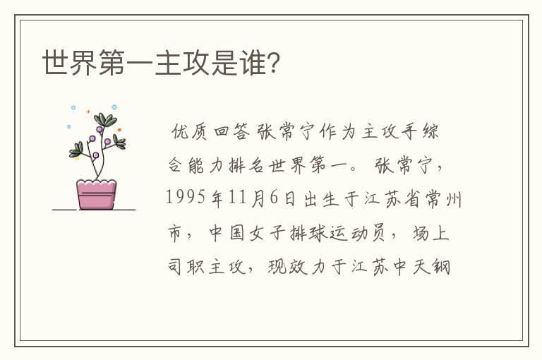 世界第一主攻是谁?
