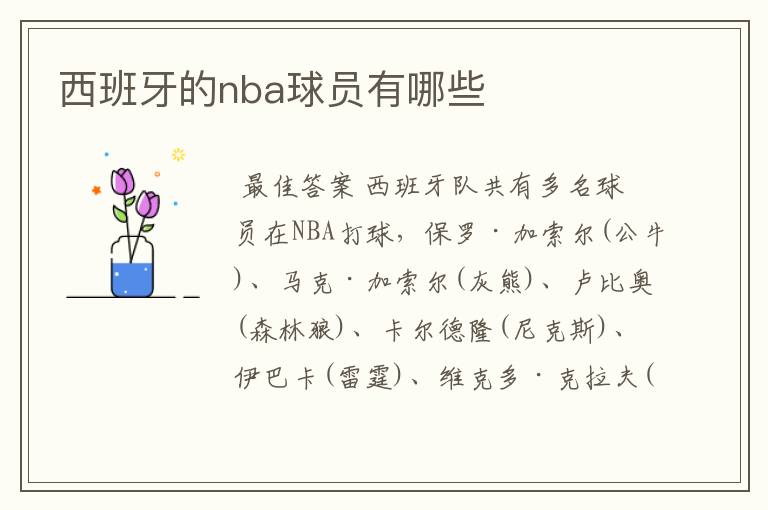 西班牙的nba球员有哪些