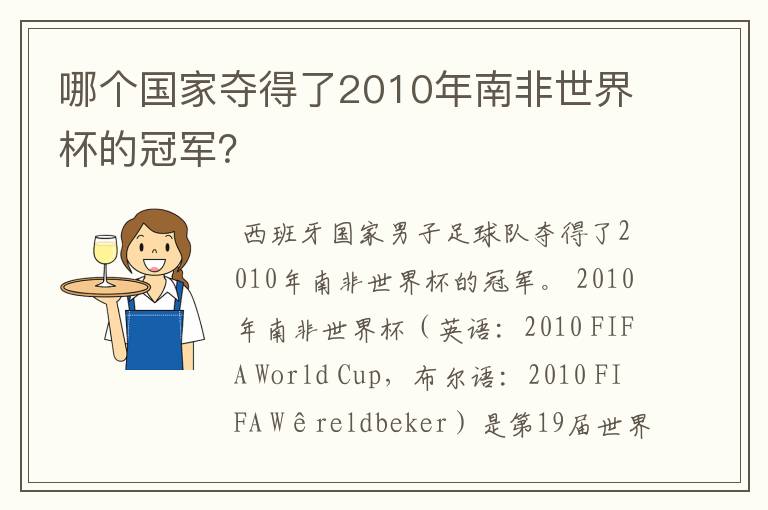 哪个国家夺得了2010年南非世界杯的冠军?