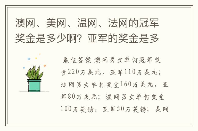 澳网、美网、温网、法网的冠军奖金是多少啊?亚军的奖金是多少啊?
