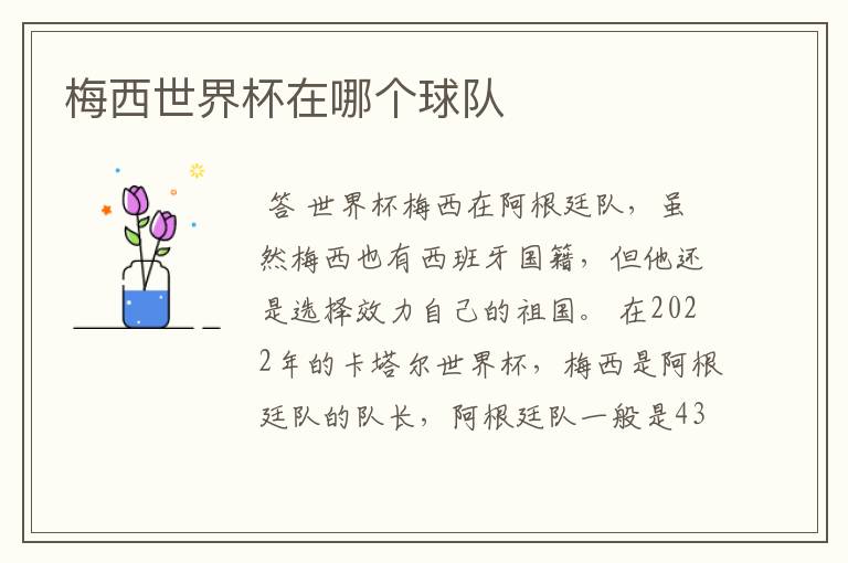 梅西世界杯在哪个球队