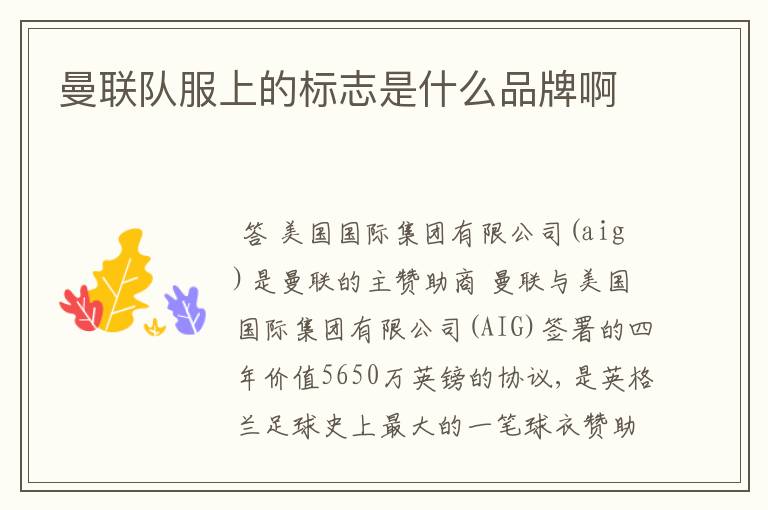 曼联队服上的标志是什么品牌啊