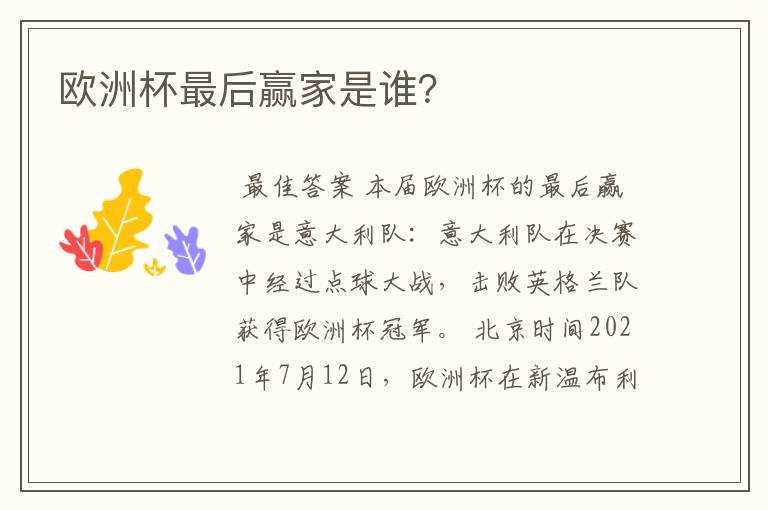 欧洲杯最后赢家是谁?